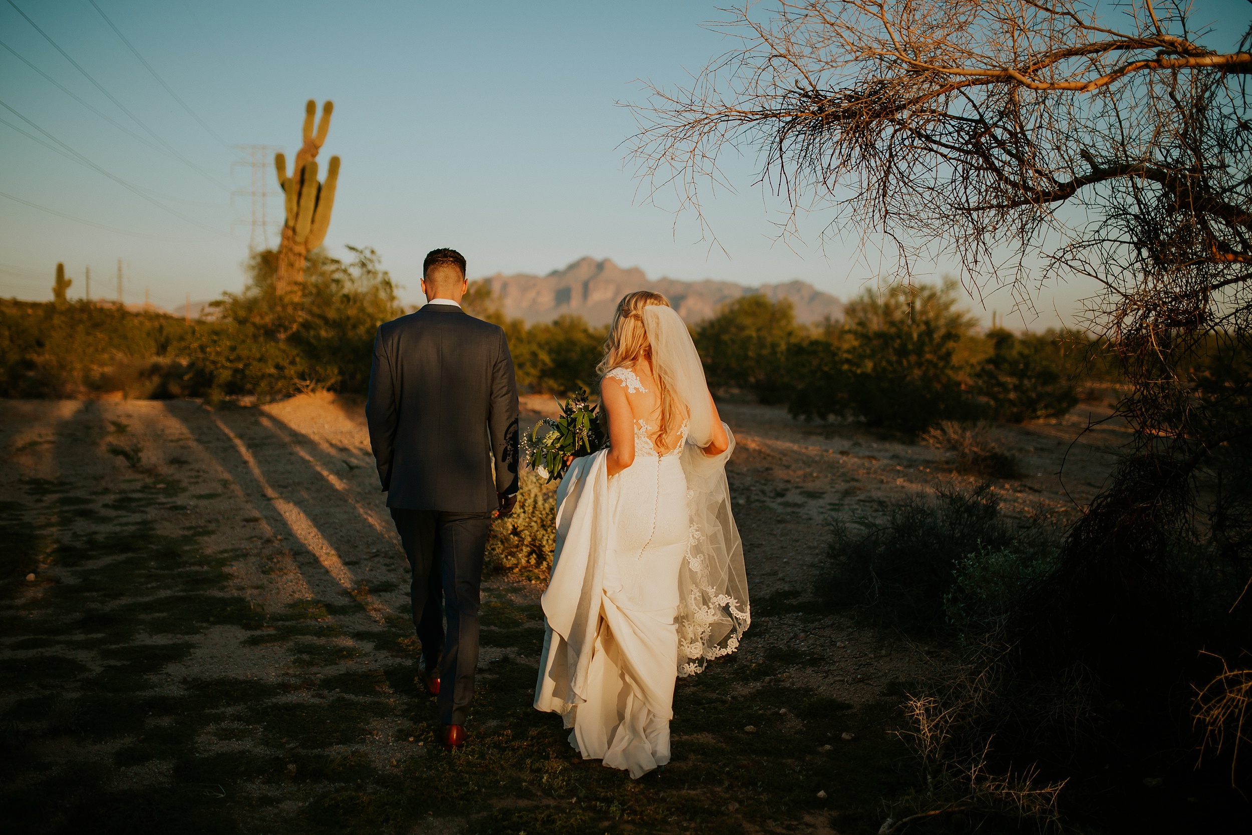 Meg+Bubba_Wedding_Bride+Groom_Portraits_Arizona-157.jpg